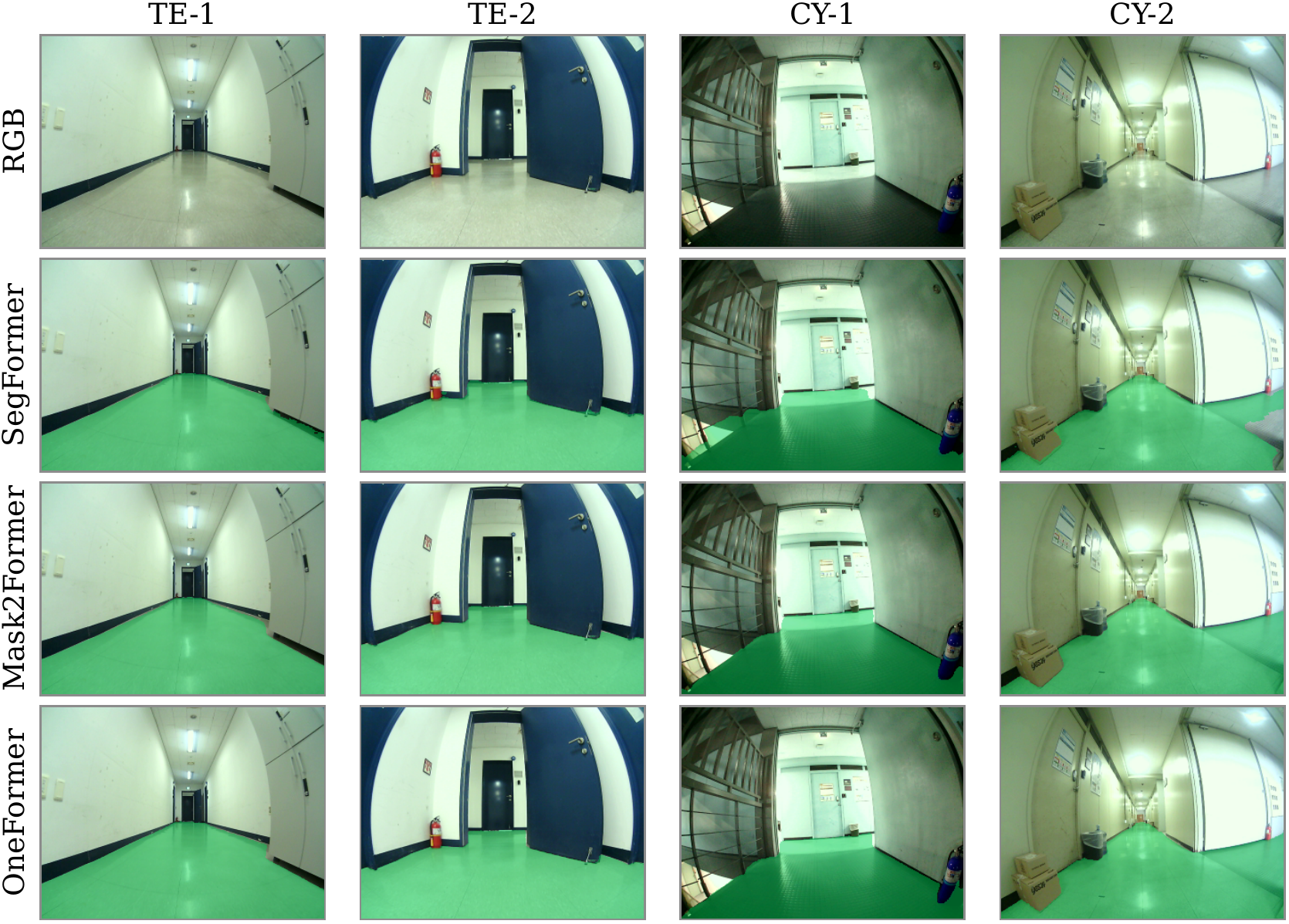 Segmentation Backbone Comparison